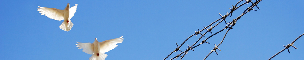 Iran Nuke Deal's Upside-down Logic